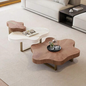 Designer Coffee Table Set
